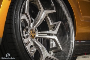 Ford Shelby GT500 tire size